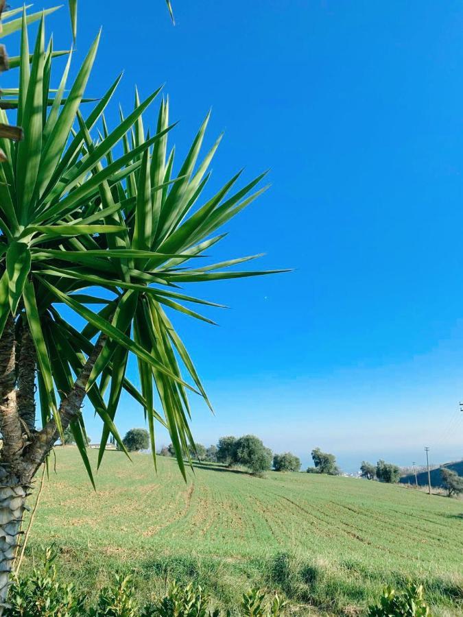 Zona Franca San Benedetto del Tronto