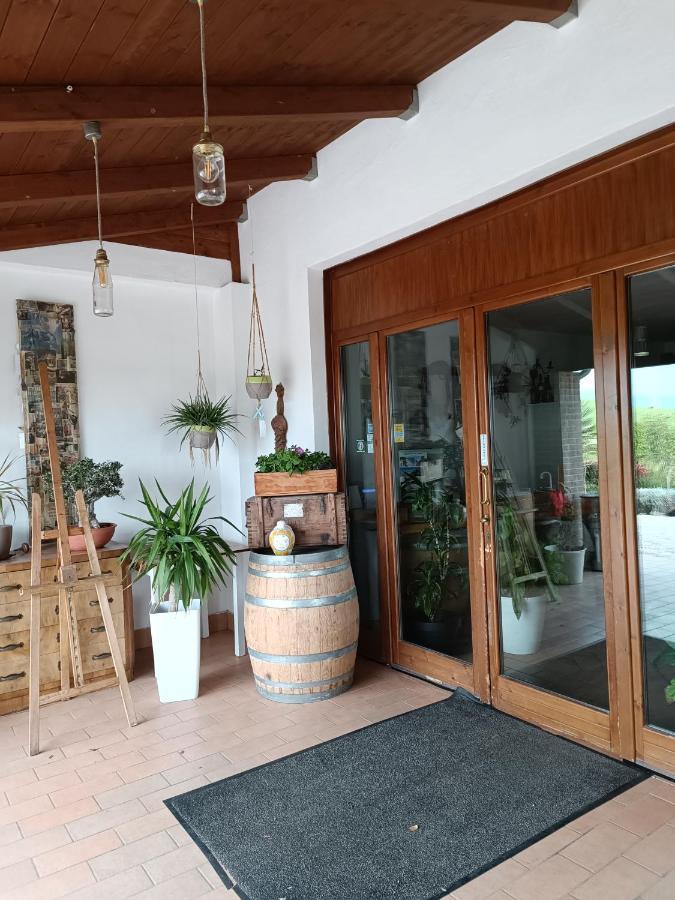 Zona Franca