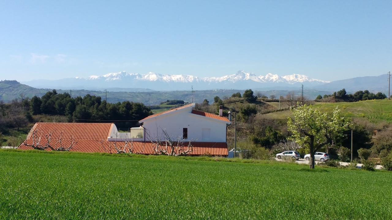 Zona Franca * San Benedetto del Tronto